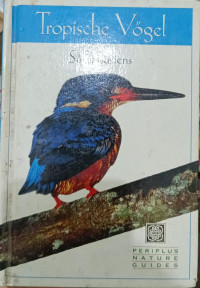 Image of Tropische vogel